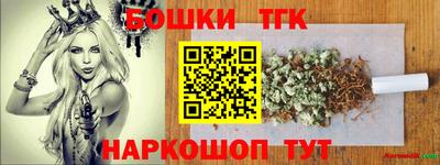 твердый Камень-на-Оби