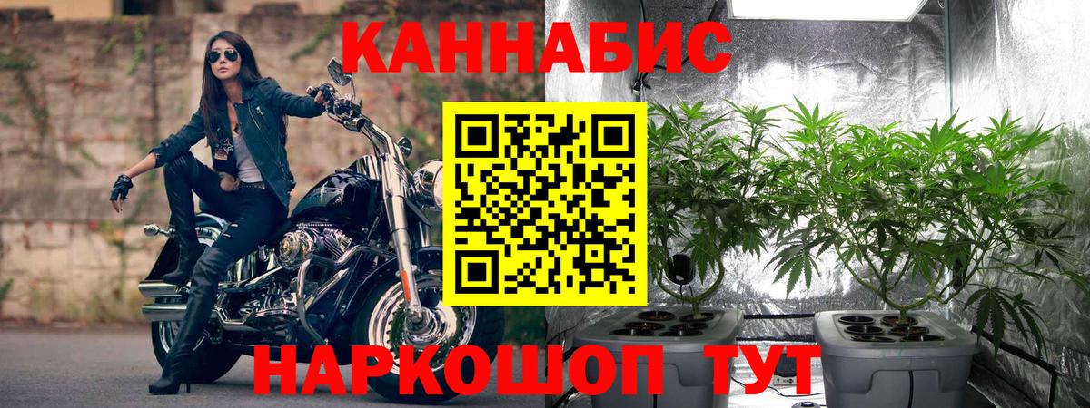 Каннабис семена Ликино-Дулёво